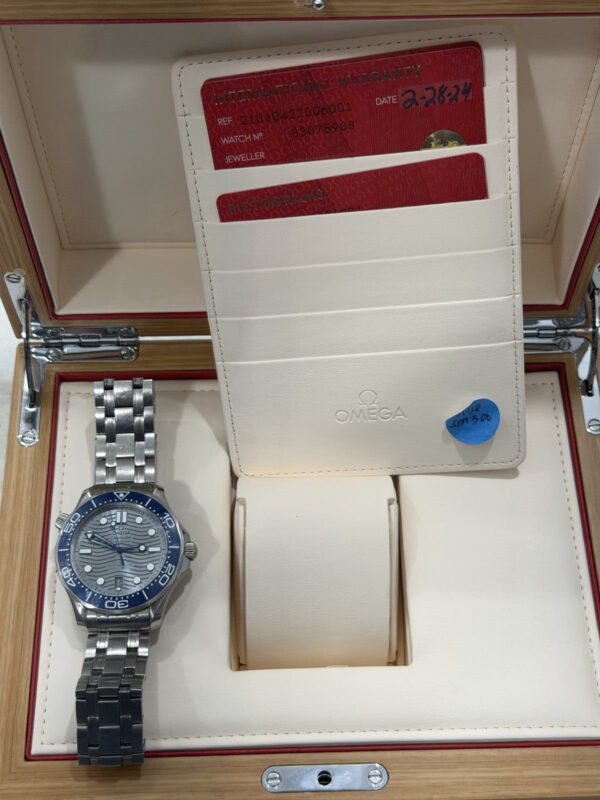 57_2606b368-a7ae-45d9-b5aa-bdb11735cc02 2024 Omega Seamaster Steel Gray Dial 42mm Automatic Watch 210.30.42.20.06.001
